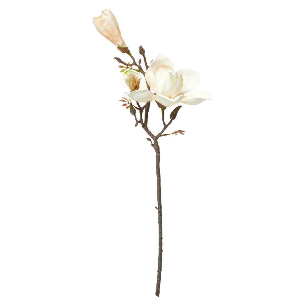 Speedtsberg Magnolia stilk 58cm