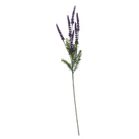 Speedtsberg Lavendel stilk 80cm