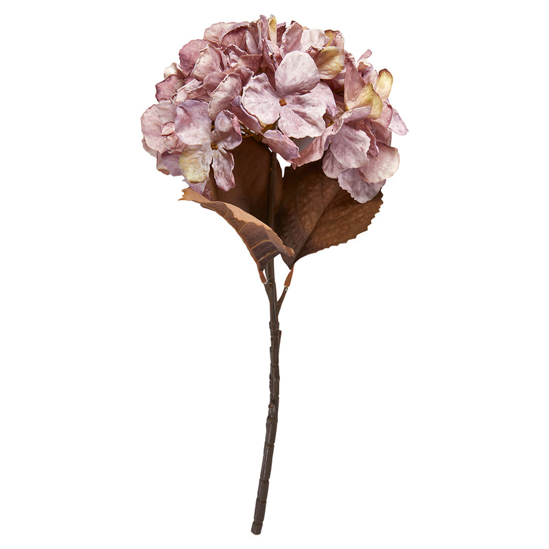 Speedtsberg Hortensia stilk 48cm