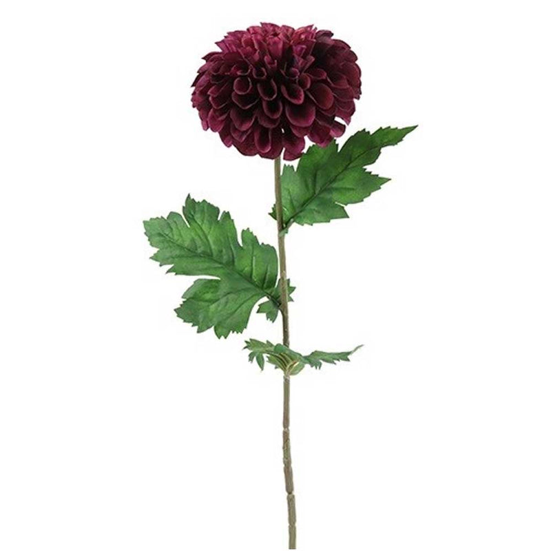 Barbara Dahlia Dark Purple 75cm