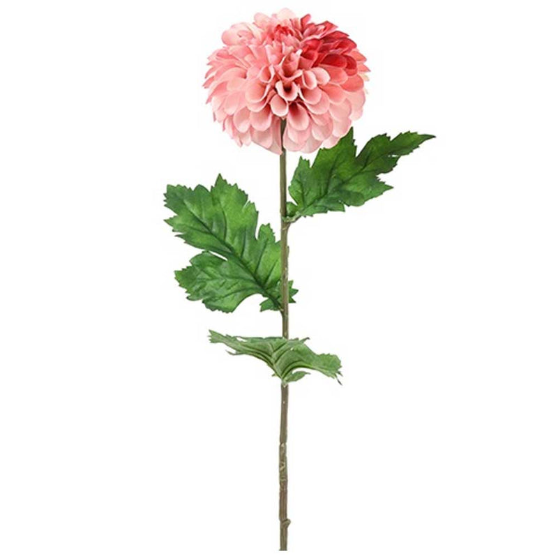 Barbara Dahlia Rosa 75cm