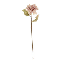 Bungalow Dahlia Alauna Flower Powder 70cm