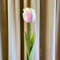 Barbara Papegøje Tulipan rosa 61cm