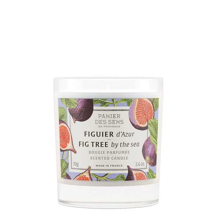 Panier des Sens Fig Tree By The Sea Duft lys 275g